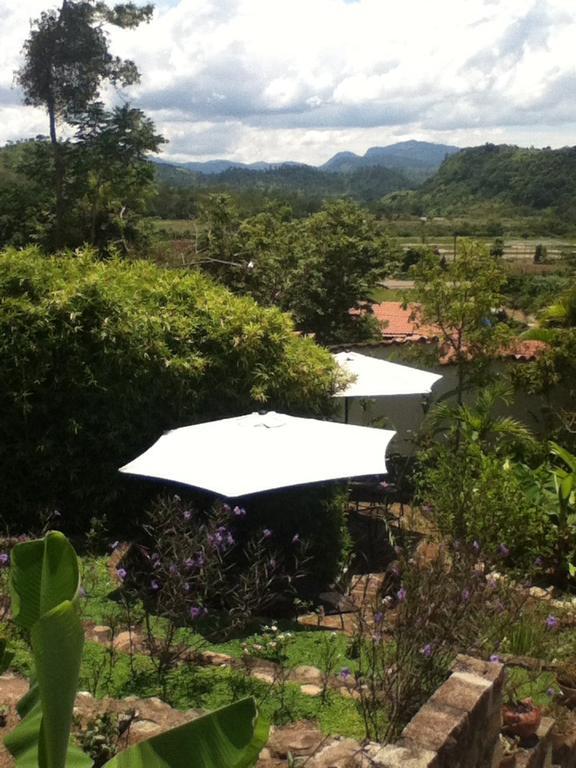 Casa Jaguar Villa Copan Exterior photo